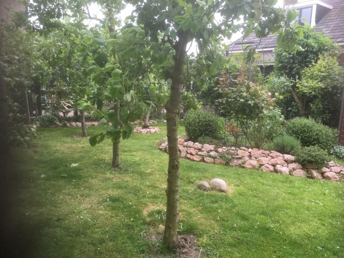 B & B Zazza Raerd Eksteriør bilde